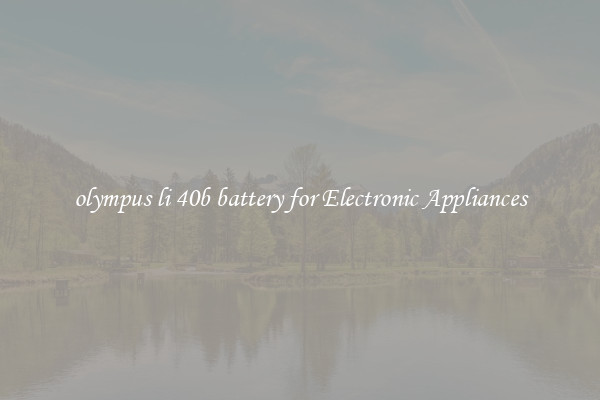 olympus li 40b battery for Electronic Appliances