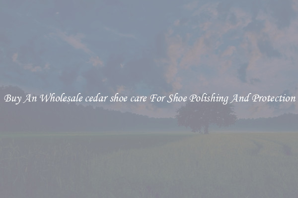 Buy An Wholesale cedar shoe care For Shoe Polishing And Protection