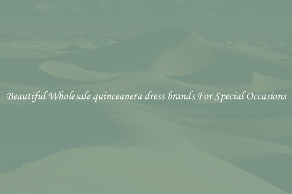 Beautiful Wholesale quinceanera dress brands For Special Occasions