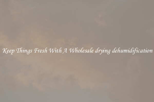 Keep Things Fresh With A Wholesale drying dehumidification