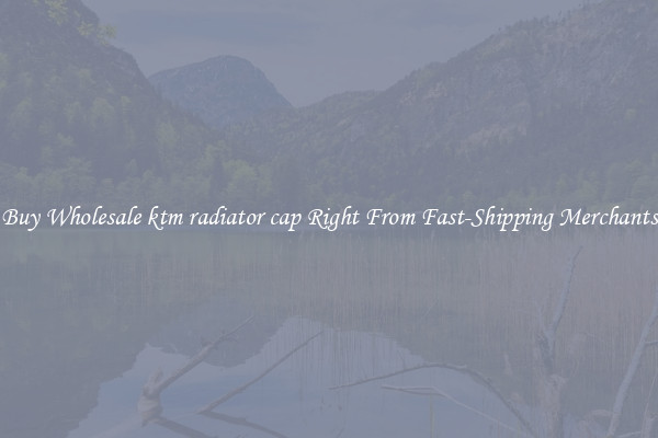 Buy Wholesale ktm radiator cap Right From Fast-Shipping Merchants