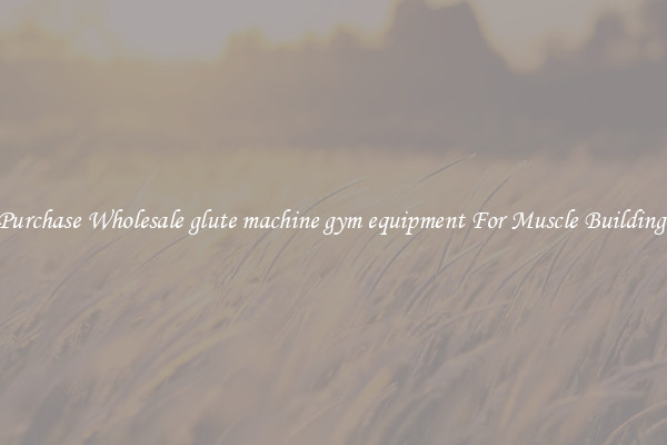 Purchase Wholesale glute machine gym equipment For Muscle Building.