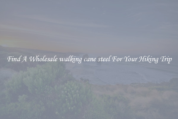 Find A Wholesale walking cane steel For Your Hiking Trip