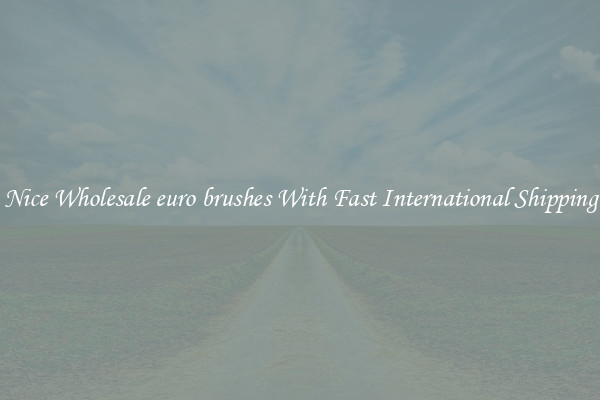 Nice Wholesale euro brushes With Fast International Shipping