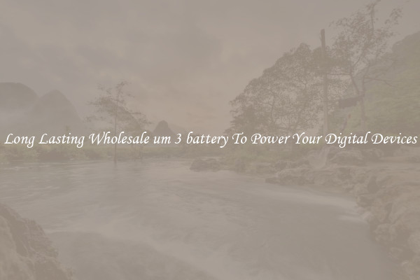 Long Lasting Wholesale um 3 battery To Power Your Digital Devices