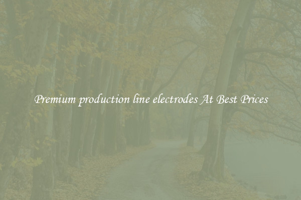 Premium production line electrodes At Best Prices