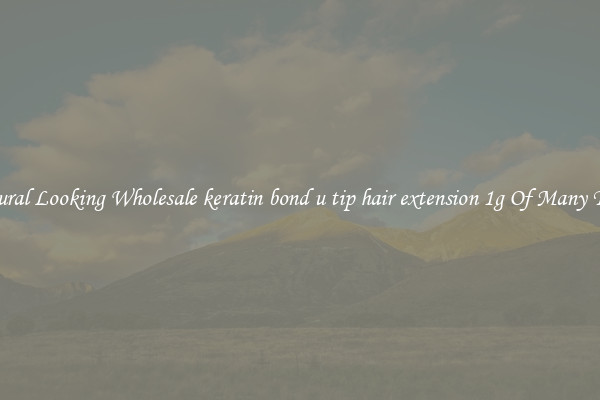 Natural Looking Wholesale keratin bond u tip hair extension 1g Of Many Types