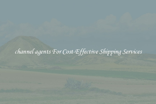 channel agents For Cost-Effective Shipping Services