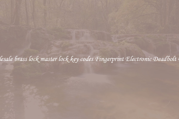 Wholesale brass lock master lock key codes Fingerprint Electronic Deadbolt Door 