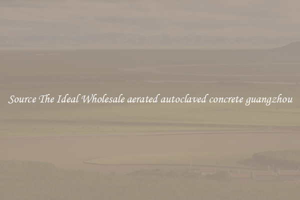 Source The Ideal Wholesale aerated autoclaved concrete guangzhou